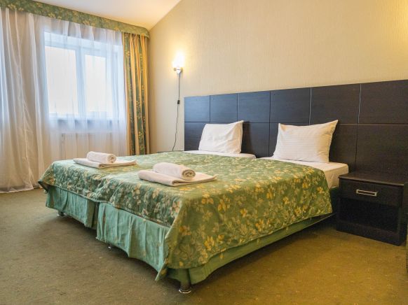 Фотография номера гостиницы Абсолют