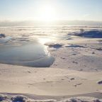 Номер (Дом с 5 спальнями), Отель Балтийский бриз