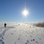 Номер (Шале с 2 спальнями), Отель В Николе Рожке