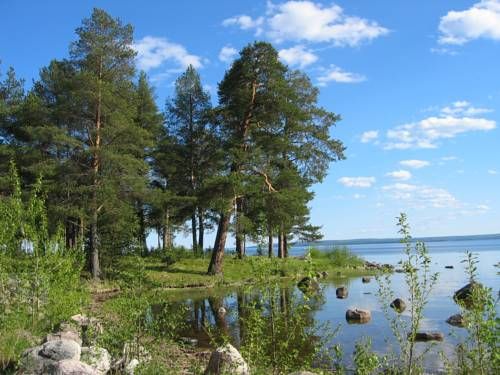 Город медвежьегорск республика карелия фото