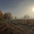 Пешие прогулки, Загородный отель Летучая Рыба