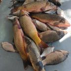 Рыбалка с егерем при трехместном размещении, База отдыха Надежда