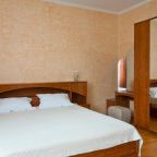 Двухместный (1 категории Twin/Double), Park Hotel Bogorodsk