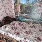 Двухместный, Гостевой дом на Майона Витязя 26