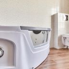 Двухместный (Люкс - Большой двухместный номер с 1 кроватью), Парк-Отель Ангел