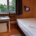 Двухместный (Стандартный двухместный номер с 1 кроватью), Парк-Отель Ангел