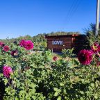 Барбекю, Парк-Отель Ангел