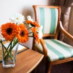 Одноместный (Стандартный с полутораспальной кроватью «Премиум»), Отель Прикамье