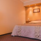 Одноместный (Стандартный с полутораспальной кроватью «Премиум»), Отель Прикамье