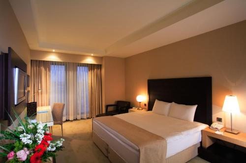 Двухместный (Двухместный номер Делюкс с 1 кроватью или 2 отдельными кроватями) отеля Holiday Inn Istanbul Airport, Стамбул