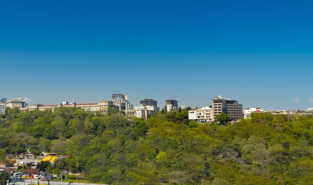 Двухместный (Номер с балконом и видом на парк), Отель The Ritz-Carlton, Istanbul at the Bosphorus