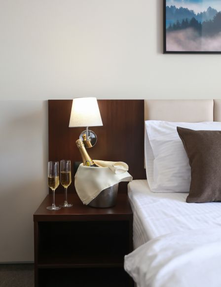 Фотография номера гостиницы Лайнер