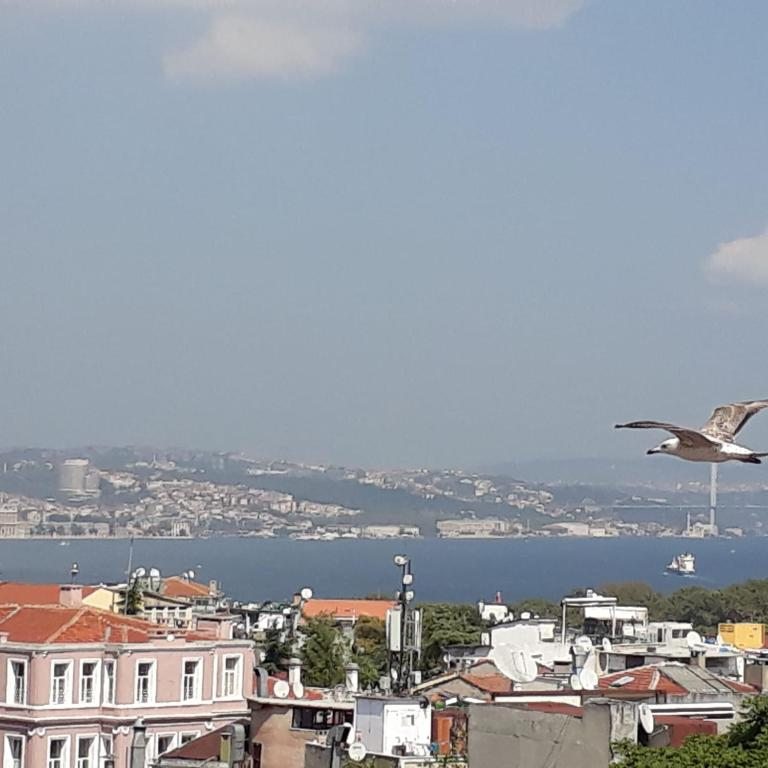 Двухместный (Двухместный номер Делюкс с 2 отдельными кроватями и видом на море) отеля Hali, Стамбул