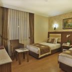 Двухместный (Бюджетный двухместный номер с 1 кроватью), Grand Hilarium Hotel