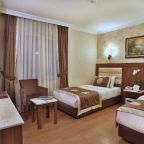 Двухместный (Бюджетный двухместный номер с 1 кроватью), Grand Hilarium Hotel