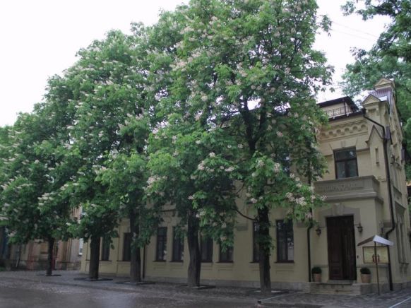 Отель Княжна Мери, Железноводск
