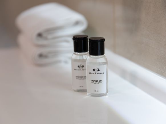 Фотография номера гостиницы Белый Лотос Сити