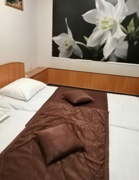 Фотография номера гостиницы Премьер