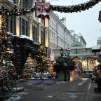 Допускается размещение домашних животных, Отель Акварель