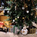 Допускается размещение домашних животных, Отель Акварель