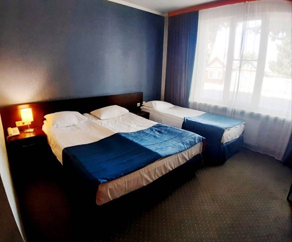 Фотография номера гостиницы Аэроотель