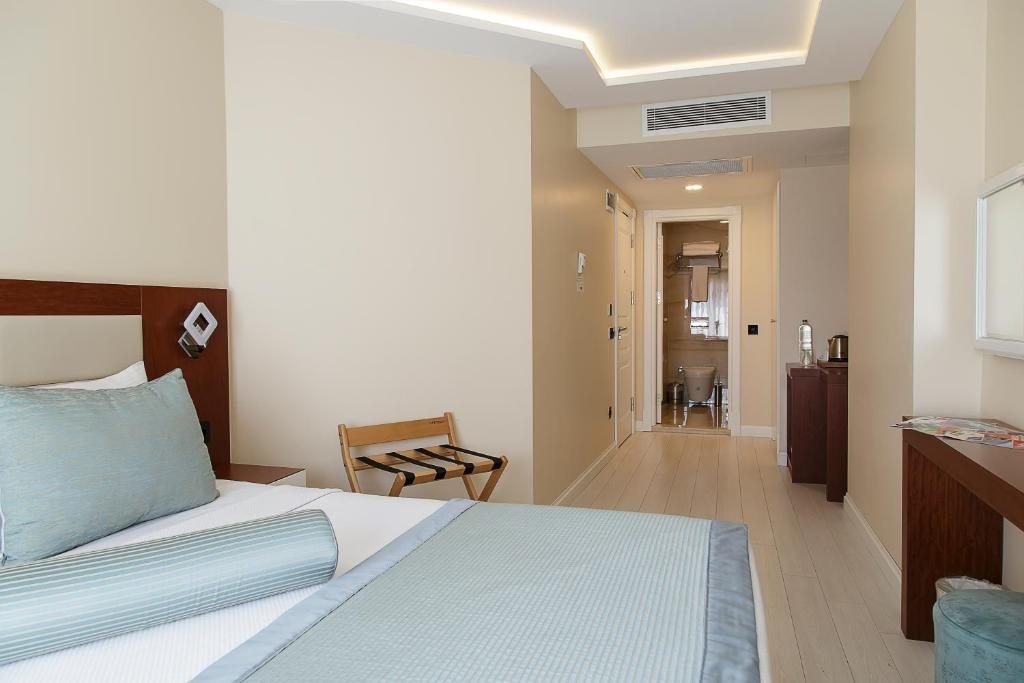 Двухместный (Двухместный номер Делюкс с 1 кроватью) отеля Vatan Asur Hotel, Стамбул