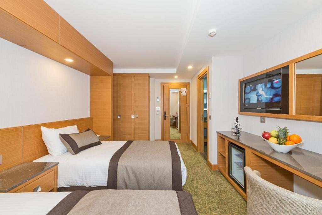Двухместный (Двухместный номер с 1 кроватью или 2 отдельными кроватями) отеля Bisetun, Стамбул