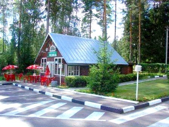 Коттедж мотеля Медведь, Торфяновка
