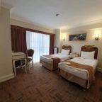 Двухместный (Двухместный номер с 2 отдельными кроватями), Elysion Hotel