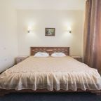 Двухместный (Двухместный номер Стандарт (1 кровать)), Гостиничный комплекс Святогор