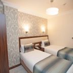 Двухместный (Двухместный номер эконом-класса с 1 кроватью), Hotel Bulvar Istanbul