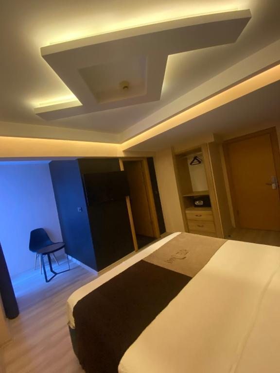 Двухместный (Двухместный номер Делюкс с 1 кроватью) отеля Hotel Davos Istanbul, Стамбул