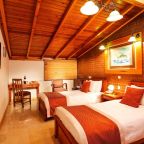 Двухместный (Стандартный двухместный номер с 1 кроватью или 2 отдельными кроватями), Hotel Erguvan - Special Category