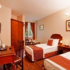 Двухместный (Стандартный двухместный номер с 1 кроватью или 2 отдельными кроватями), Hotel Erguvan - Special Category