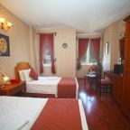 Двухместный (Стандартный двухместный номер с 1 кроватью или 2 отдельными кроватями), Hotel Erguvan - Special Category