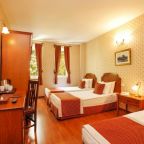 Трехместный (Стандартный трехместный номер), Hotel Erguvan - Special Category