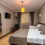 Двухместный (Двухместный номер с 2 отдельными кроватями), Hotel Pera Capitol