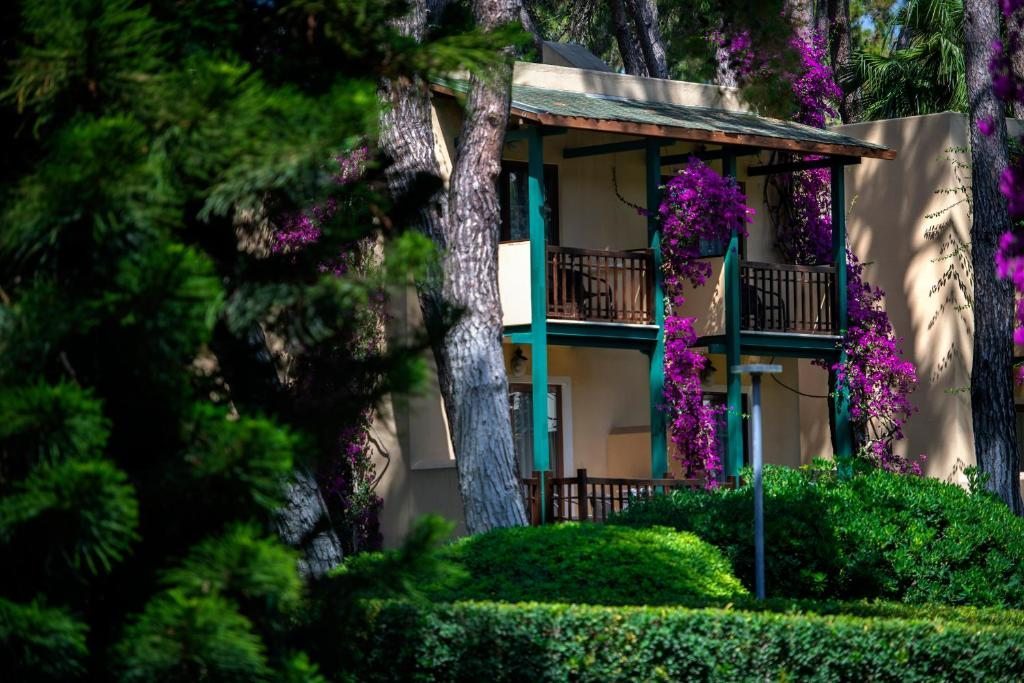 Двухместный (Стандартный двухместный номер с 1 кроватью) курортного отеля Turquoise, Сиде