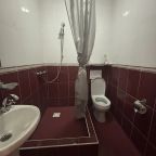 Двухместный (Стандартный с двуспальной кроватью), Гостевой дом Делис