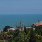 Апартаменты (Апартаменты с 2 спальнями, видом на море и террасой), Hale Abla Apart Evleri