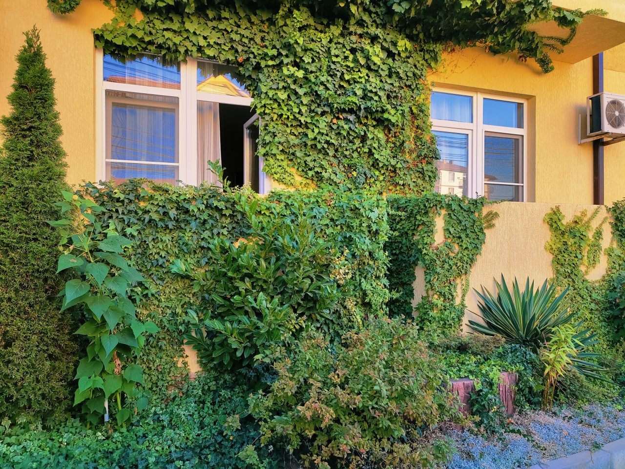 Гостевой дом Наутилус, Витязево