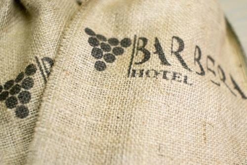 Двухместный (Бюджетный двухместный номер с 1 кроватью), Barbera Hotel