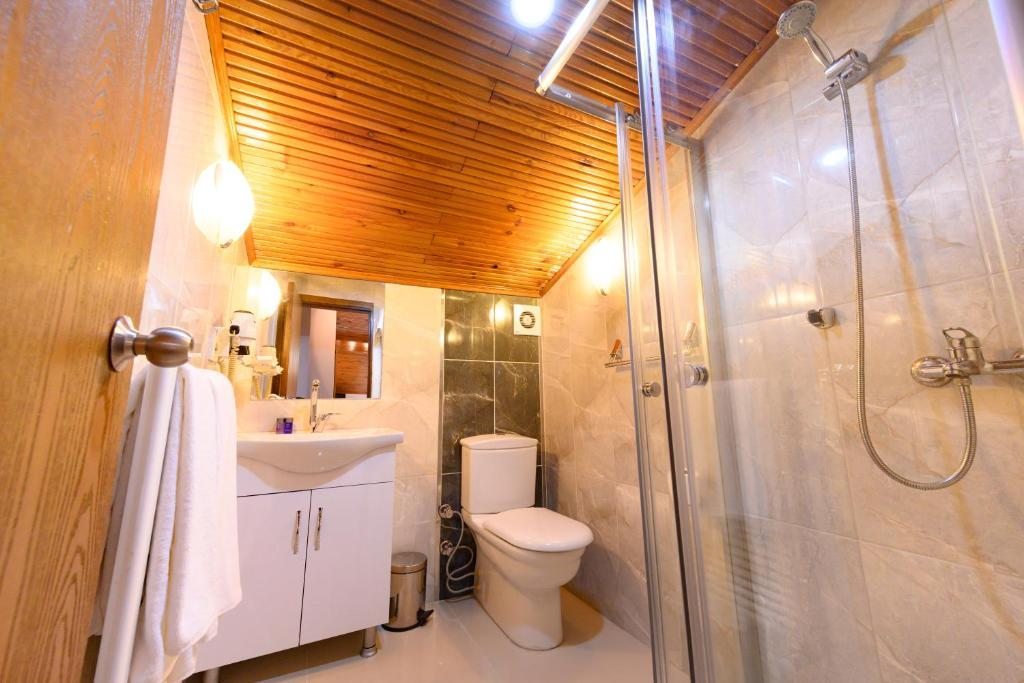 Двухместный (Номер в пентхаусе), Entes Apart