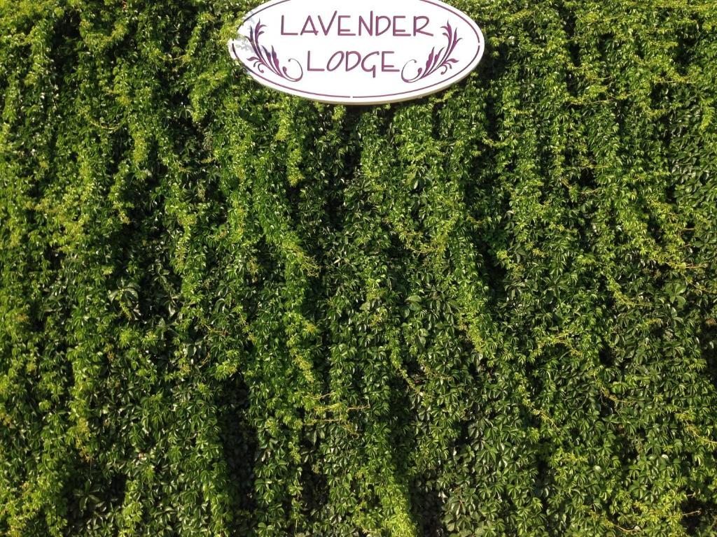 Lavender's Lodge Hotel, Калкан