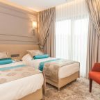 Двухместный (Двухместный номер с 2 отдельными кроватями), Park Grazza Hotel