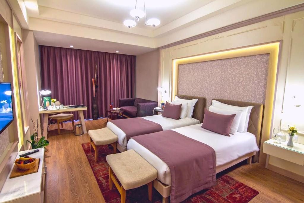 Двухместный (Двухместный номер Делюкс с 1 кроватью или 2 отдельными кроватями, вид на город) отеля The Green Park Hotel Ankara, Анкара