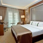 Двухместный (Номер Делюкс), Отель Holiday Inn Ankara-Kavaklidere