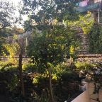 Трехместный (Улучшенный трехместный номер), Piya Hostel