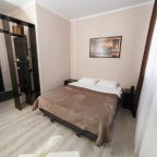 Одноместный (Одноместный номер стандарт с двуспальной кроватью), Парк-Отель Польский городок