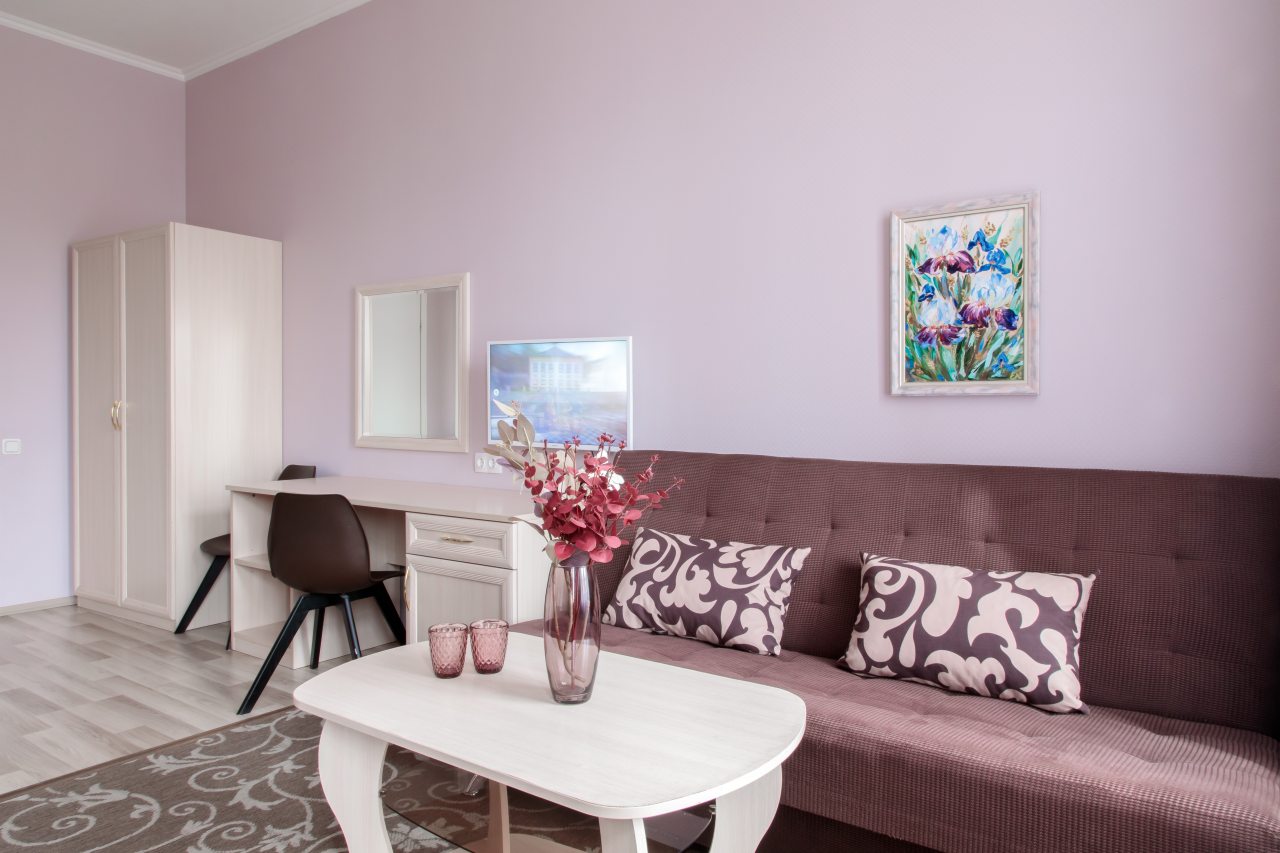 Комфорт с видом на канал, с раскладным диваном